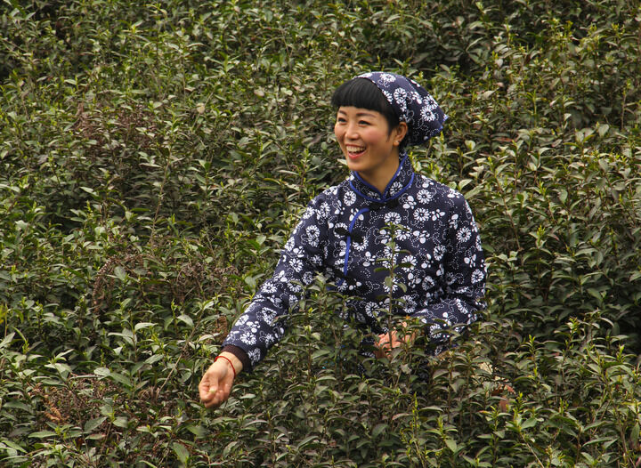 37间房主播跳舞 锁链之吻